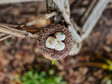 Load image into Gallery viewer, Beadie Bird Nest