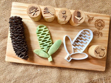 Load image into Gallery viewer, Banksia Pod Bio Cutter