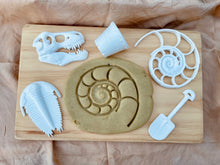 Load image into Gallery viewer, Large Ammonite Fossil