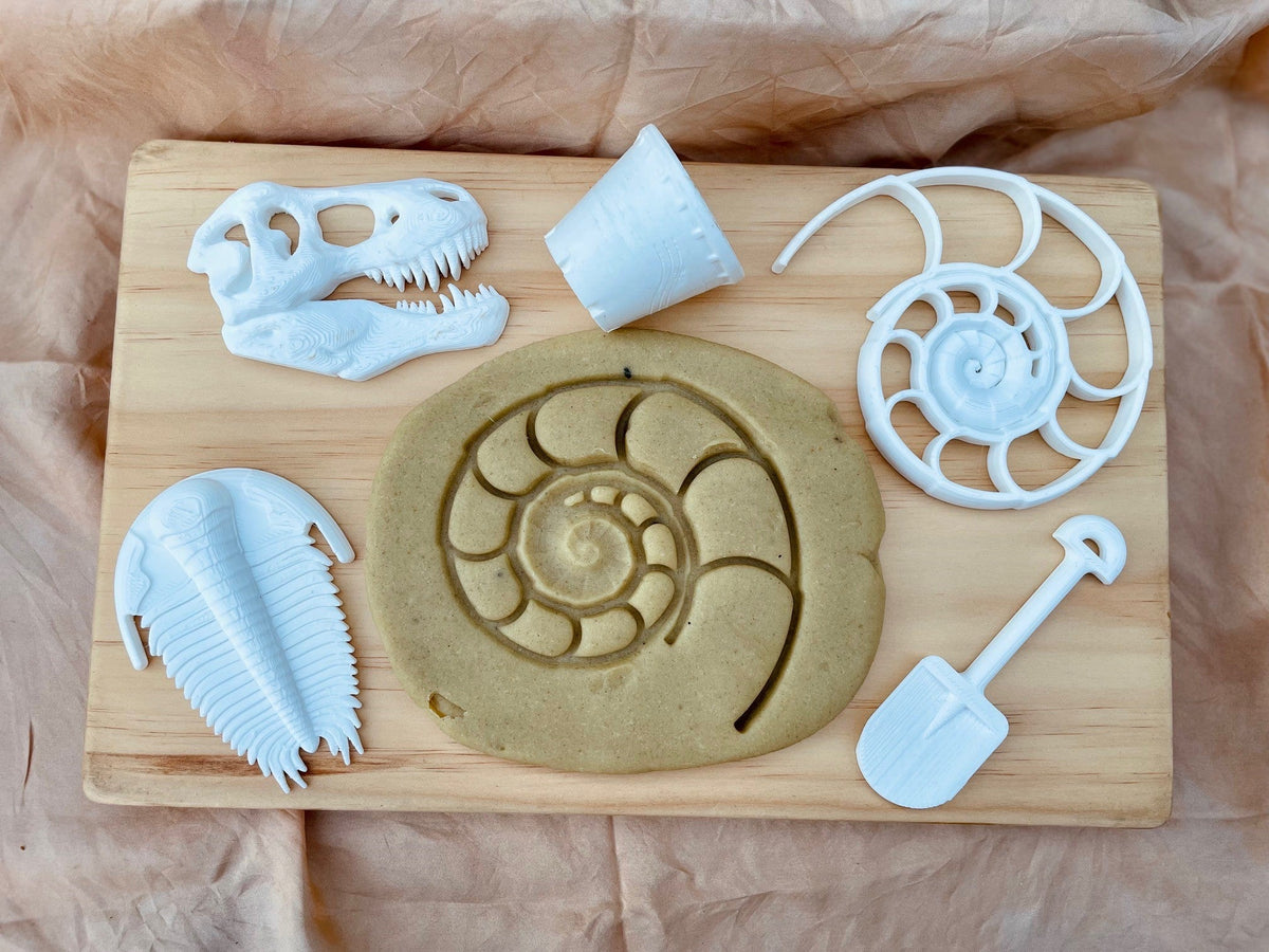 T-Rex Skull Fossil – beadiebugplay