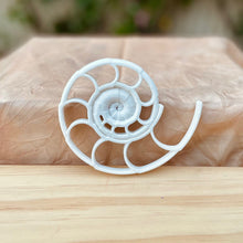 Load image into Gallery viewer, Large Ammonite Fossil