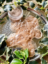 Load image into Gallery viewer, Gingerbread Ready Set Fizz - PRE-ORDER
