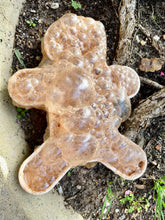 Load image into Gallery viewer, Gingerbread Ready Set Fizz - PRE-ORDER