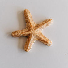 Load image into Gallery viewer, Stevie Starfish / Wooden Starfish