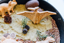 Load image into Gallery viewer, Pterry Dactyl  / Wooden Pteradactyl