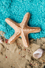 Load image into Gallery viewer, Stevie Starfish / Wooden Starfish