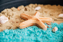 Load image into Gallery viewer, Stevie Starfish / Wooden Starfish