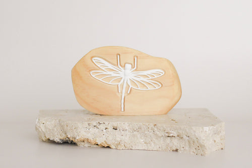 Ancient Dragonfly Fossil in Rock - ON SALE 40% OFF