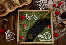 Load image into Gallery viewer, Butterfly Bio Cutter