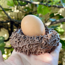 Load image into Gallery viewer, Beadie Bird Nest