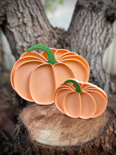 Load image into Gallery viewer, Pumpkin Bio Tray - Mini