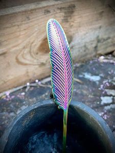 Rainbow Feather Spoon