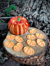 Load image into Gallery viewer, Luminous Pumpkins (bag of 10)
