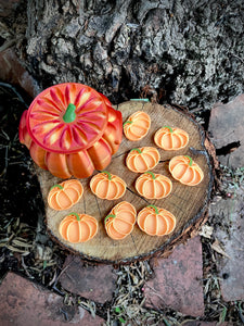 Luminous Pumpkins (bag of 10)