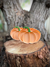 Load image into Gallery viewer, Pumpkin Bio Tray - Mini