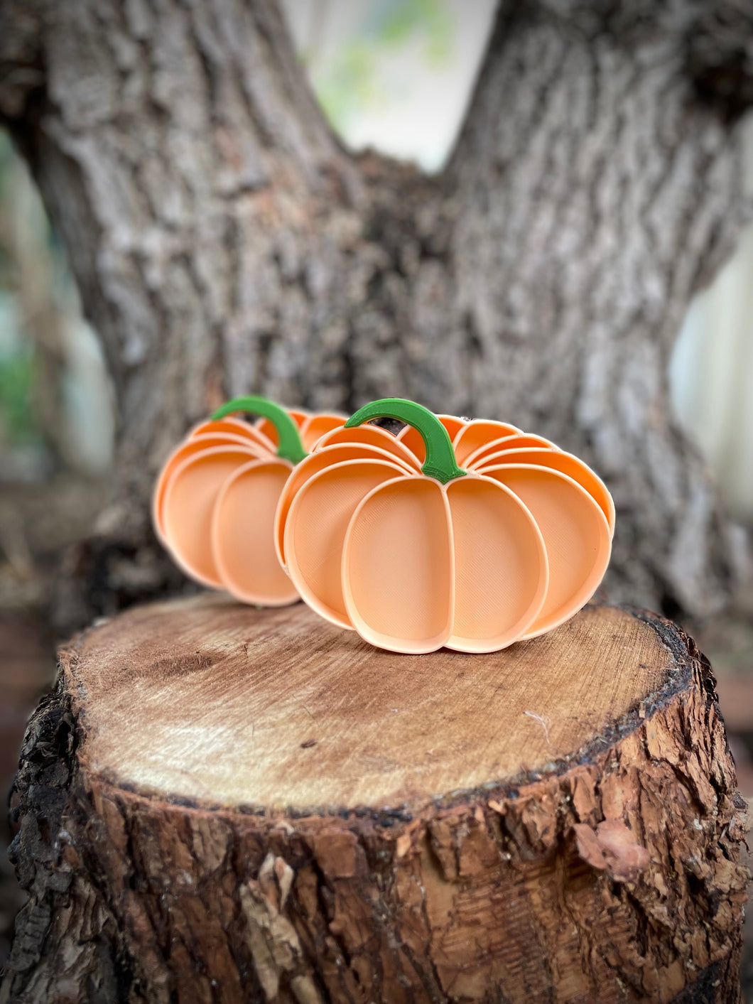 Pumpkin Bio Tray - Mini