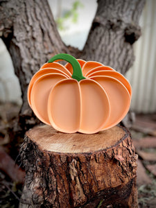 Pumpkin Bio Tray - Large PRE-ORDER