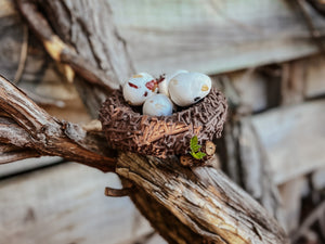 Beadie Bird Nest