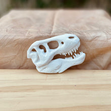 Load image into Gallery viewer, T-Rex Skull Fossil