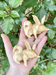 Benjamin Bilby / Wooden Bilby