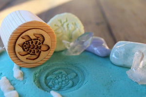 Wooden Turtle Lifecycle Stamps