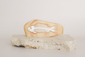 Fossil Collection in Wooden Rock - ON SALE 40% OFF!