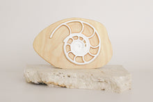 Load image into Gallery viewer, Fossil Collection in Wooden Rock - ON SALE 40% OFF!