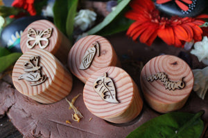 Wooden Butterfly Lifecycle Stamps