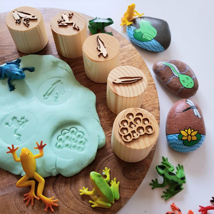 Wooden Frog Lifecycle Stamps